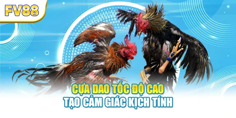 cua dao toc do cao tao cam giac kich tinh Cựa dao tốc độ cao tạo cảm giác kịch tính